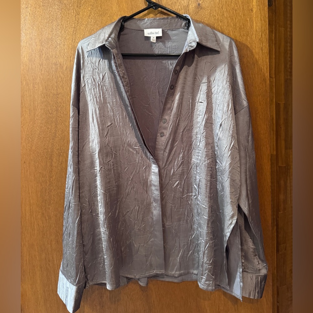 Willow & Root Silver Crinkled Blouse